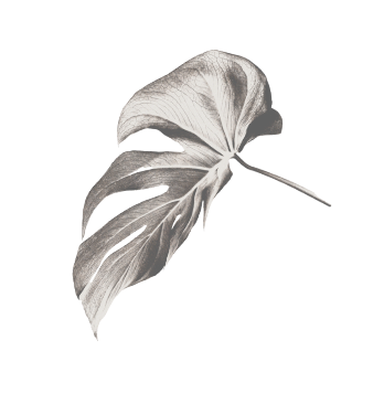 Dekoratives Blatt